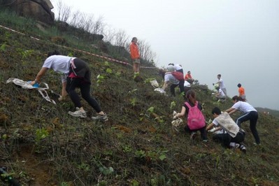 今年逾700人報名參加，為一幅去年被山火燒去大范圍林木的山坡種植約6,000棵樹苗。