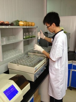 沃爾瑪生鮮配送中心的工作人員正在做農藥殘留檢測。