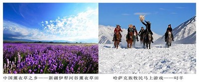 中國薰衣草之鄉(xiāng) -- 新疆伊犁河谷薰衣草田；哈薩克族牧民馬上游戲 -- 叼羊